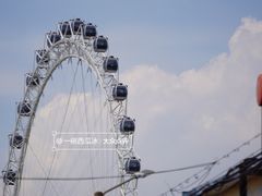 -日照海滨国家森林公园