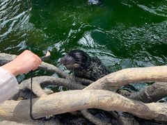 -华夏文旅海洋公园