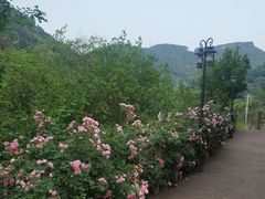 -楠柏弯休闲山庄(梨花溪店)