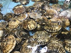 -渔民新村(番禺总店)