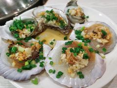 蒜蓉扇贝-原味蒸汽海鲜(嵊泗店)
