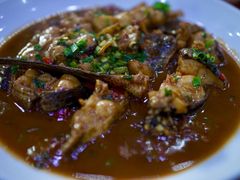 -全乐鱼馆·淳牌有机鱼直营店
