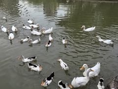 -木塔寺遗址生态公园