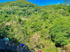 -广州白江湖森林公园