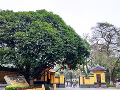 -桂林独秀峰王城景区