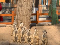 -北京野生动物园