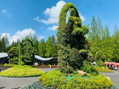-东平国家森林公园