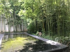 -陕拾叁(袁家村店)