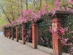 -黑龙江省森林植物园