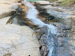 -广州白江湖森林公园