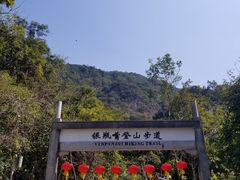 -银瓶嘴森林公园