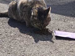 -长春公园(普阳街道)