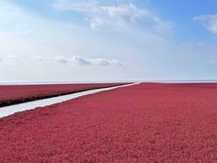 -红海滩国家风景廊道