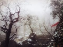 -北京鹫峰国家森林公园
