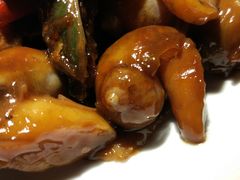 -日丰园海肠水饺·老字号大连海鲜(和平广场店)