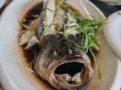 -大鹅岛绿色生态美食园