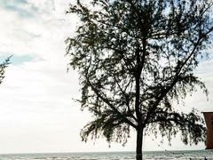 -巽寮印象美食部落餐厅·海鲜·地方特色菜(惠州体验店)