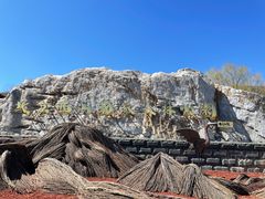 -北京西山国家森林公园