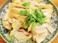 -九斤黄三黄鸡专卖店