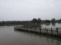 -大湾区中央湿地公园