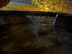 -河源客天下-温泉小镇