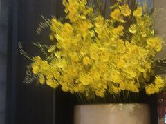 -一品红川菜(皇岗店)