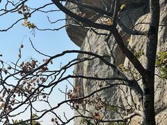 -大慈岩风景区