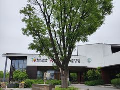 -田园东方蜜桃村的田野营地