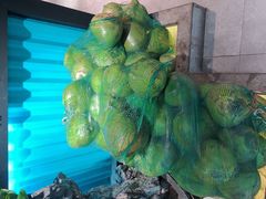 -东椰·海南椰子鸡火锅(朝阳门店)