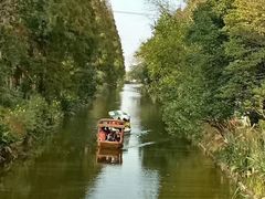 -上海长兴岛郊野公园