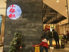 -小牛叔鲜切牛肉·火锅·烤肉自助(公济桥路店)