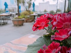 -听香·678茶铺(猛追湾店)