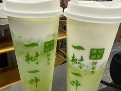 满满奇异果-一树一叶·福建茶档(石鼓路店)