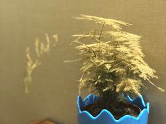 -兄弟宁乡龙城(麓景路店)