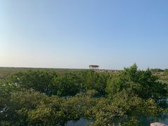 -北海金海湾红树林生态旅游区