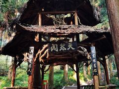 -青城山