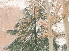 -河南省黄河迎宾馆