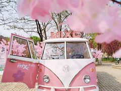 -长白岛森林公园