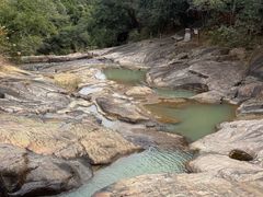 -广州白江湖森林公园