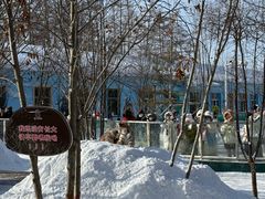 -横道河子东北虎林园