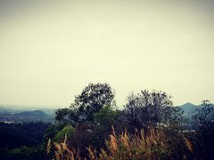 -广州市帽峰山景区
