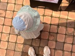 -济州森林小火车生态公园