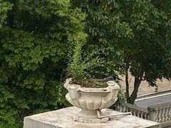 -重庆长寿碧桂园凤悦凤凰酒店