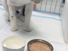 -嘉馨宠物医院·CT影像转诊·心脏科·犬猫全科诊疗中心(下沙大学城院区)