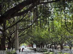 -厦门大学(思明校区)