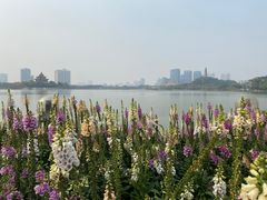 -顺峰山公园
