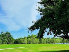 -上海共青森林公园