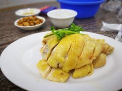 -强记湛江鸡饭店·二十七年老字号(拱北店)