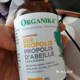 organika 蜂胶滴剂 加拿大品牌，预防感冒的必