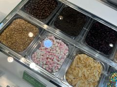 -Salud撒露欧洲冻酸奶(蓝色港湾店)